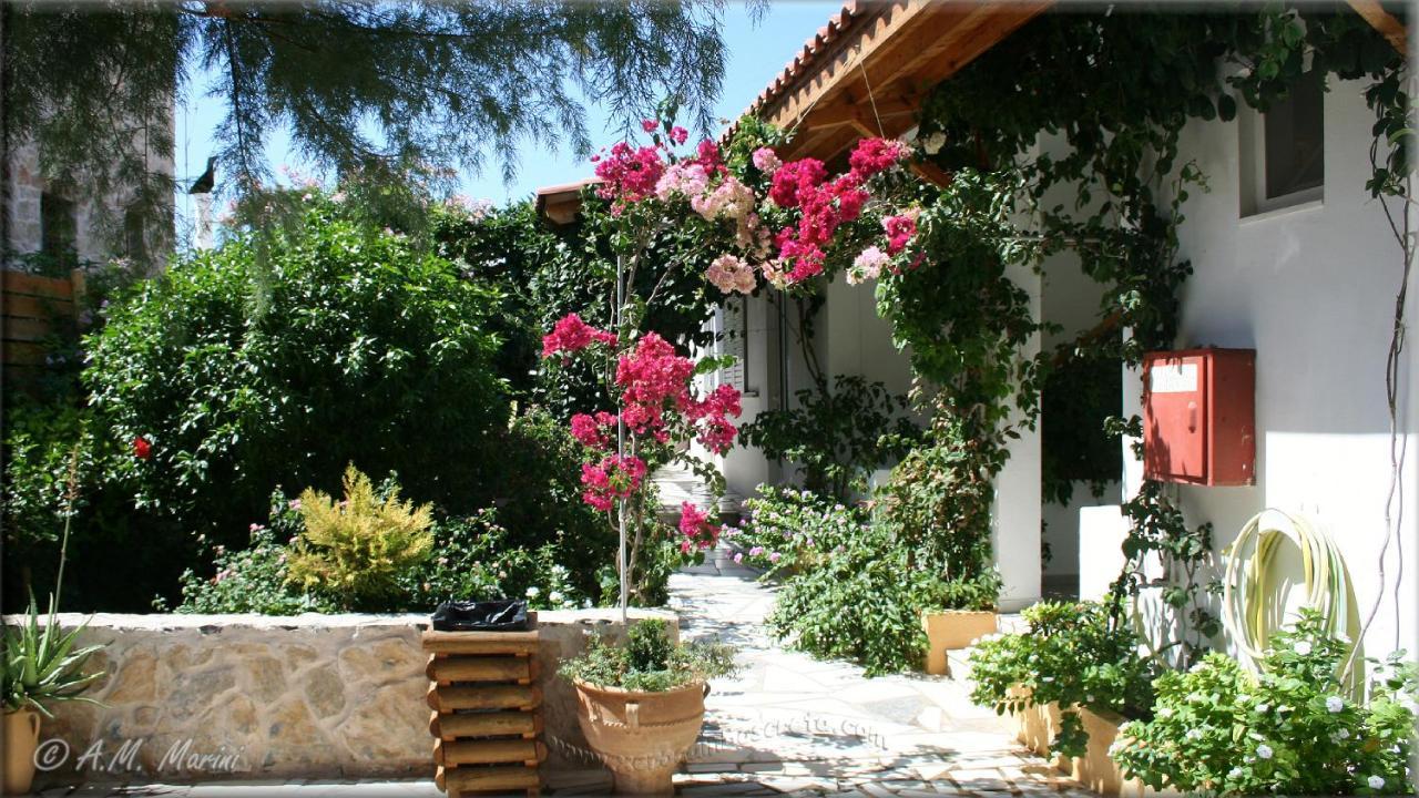 Ampelos Apartment And Studios Xerokampos  Esterno foto